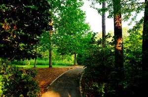 Aldridge-Garden---Trail-thru-woods---5